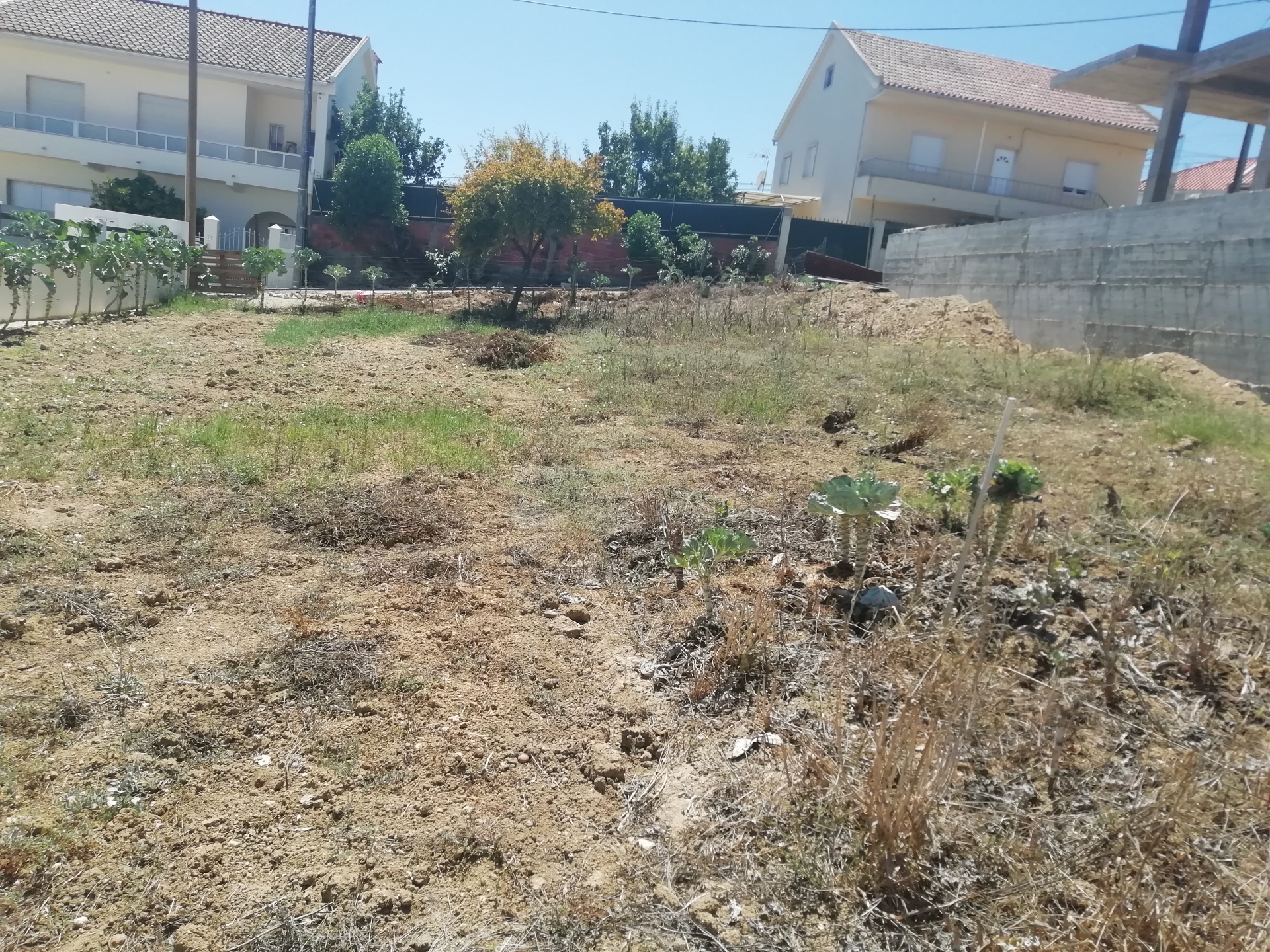 Lote de Terreno para construção de moradia no Bairro das Maroitas ( São João da Talha)