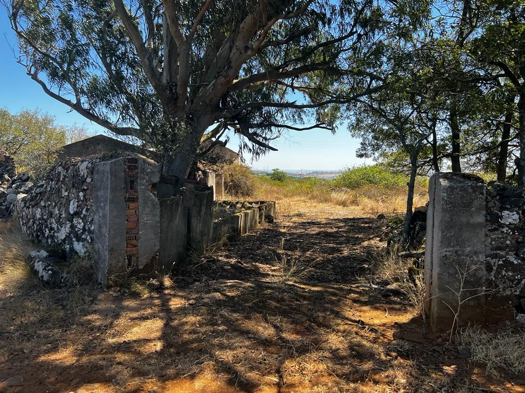 Terreno Urbano com 6500 m2 para construção