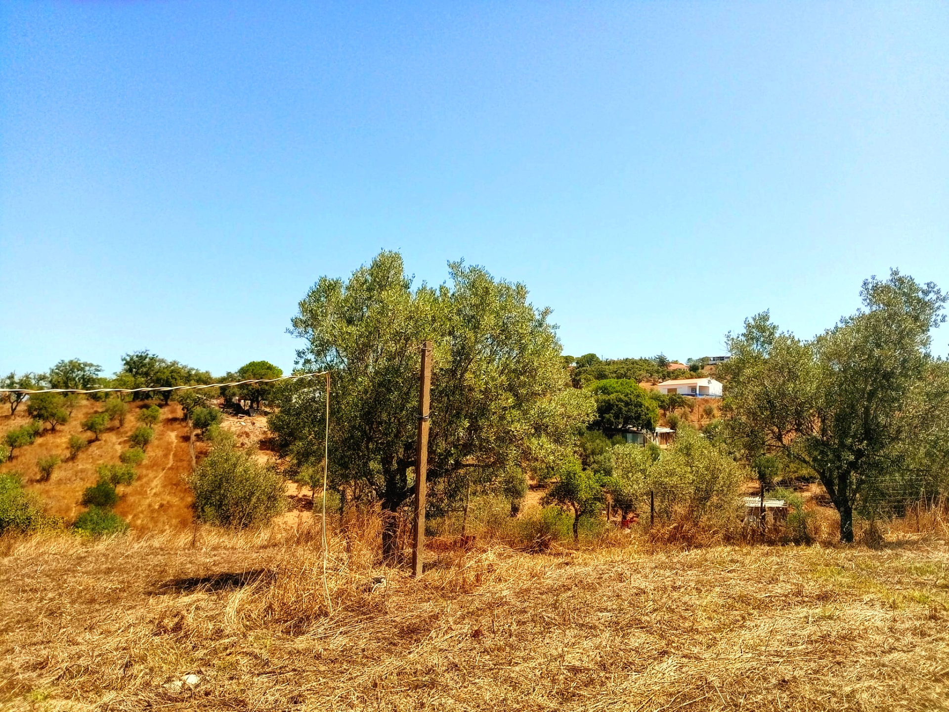 5-bedroom Alentejo villa in Santa Margarida da Serra, Grândola