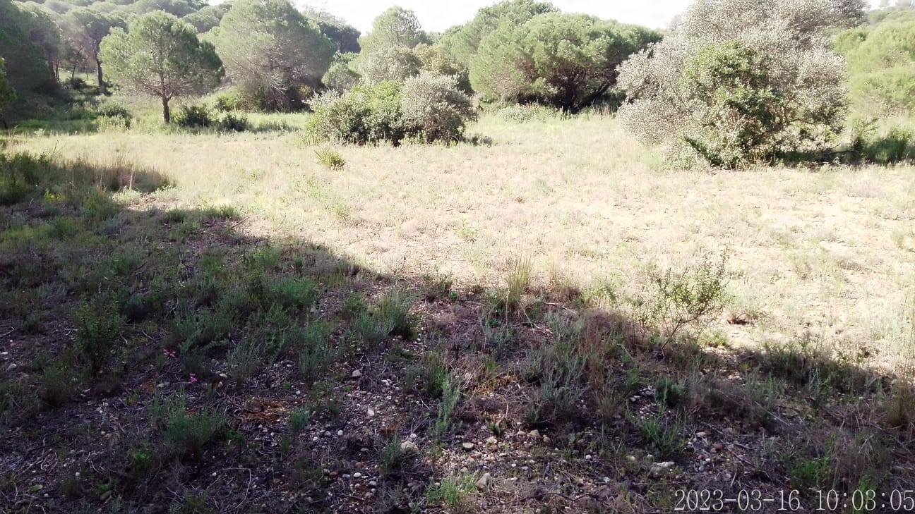 Lote de Terreno Rustico