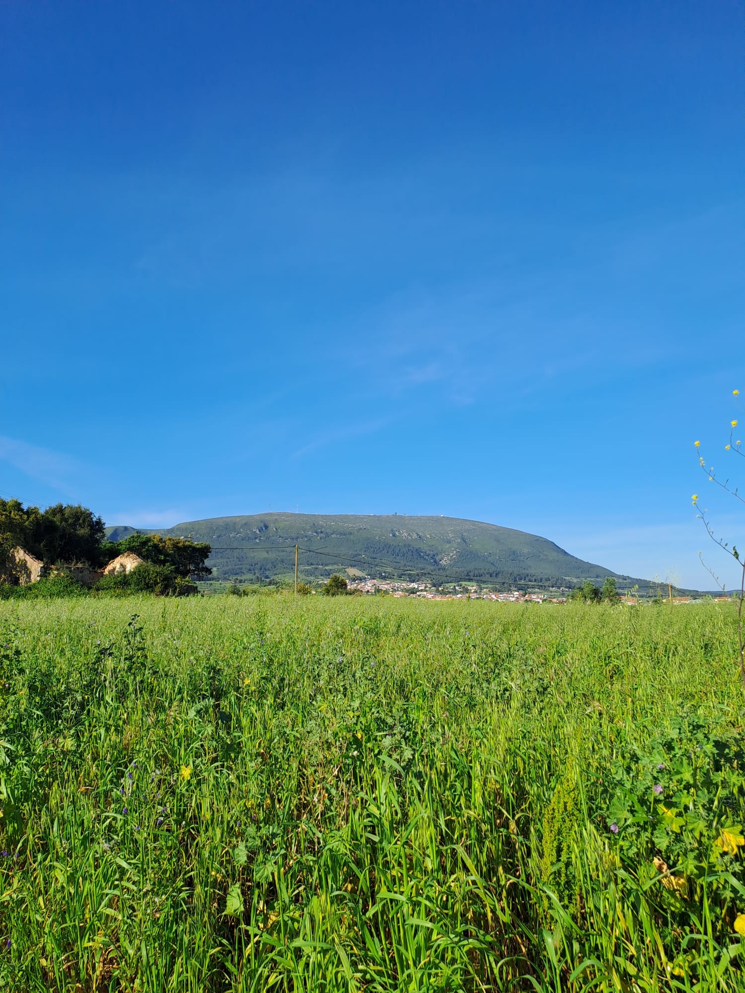 Rustic land in Penedos de Alenquer