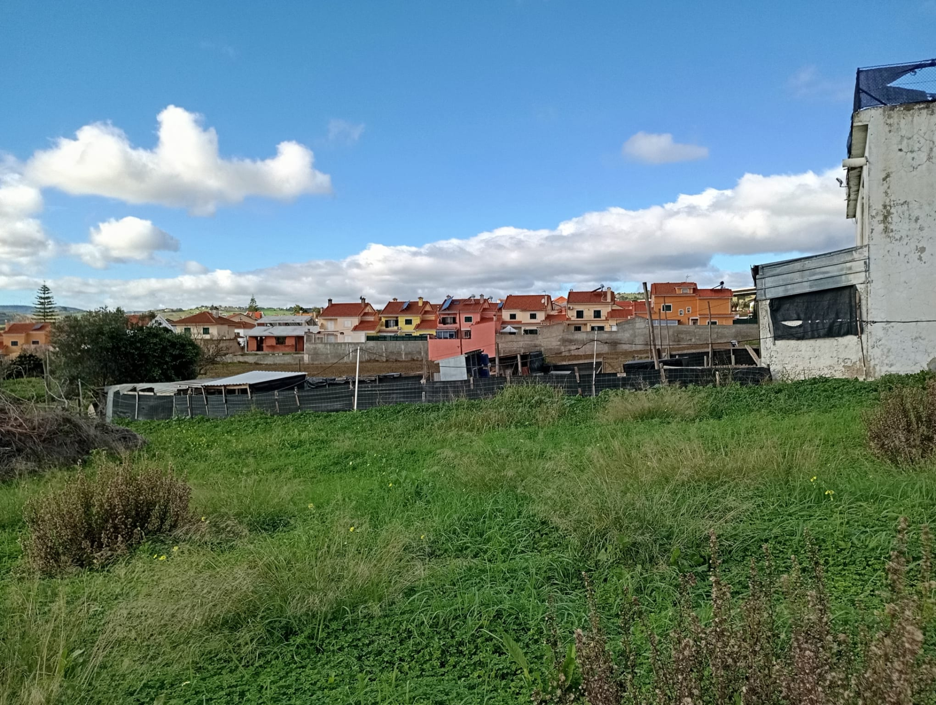 Terreno a 5 minutos do Carregado com viabilidade edificativa para 10 moradias habitacionais