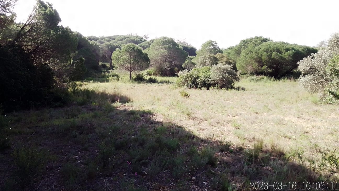 Lote de Terreno Rustico