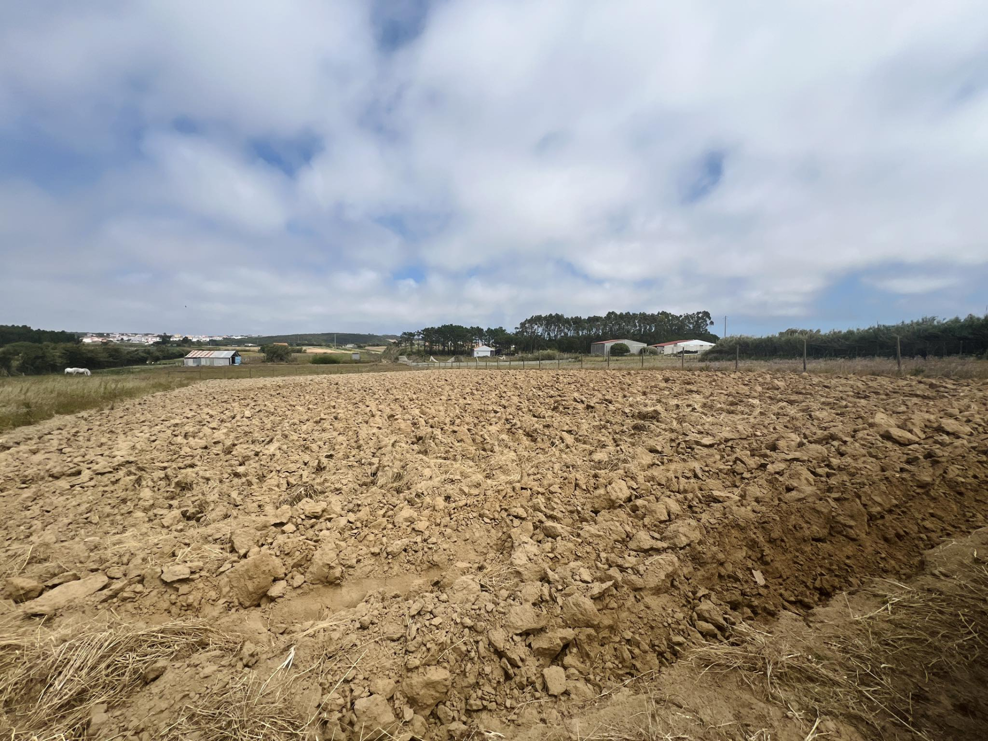 Terreno rústico com 1480m2 em Coimbrã