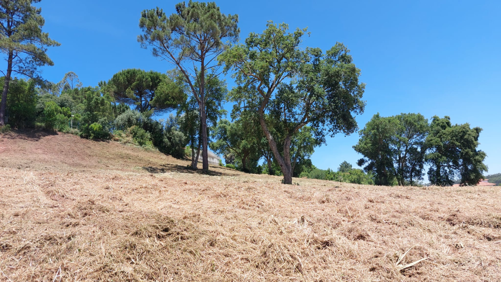 Terreno para construção de Moradias