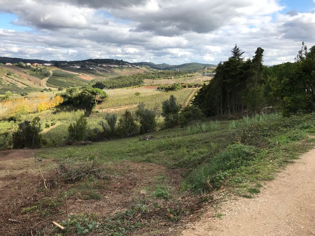 Terreno urbano para construção na Fanadia