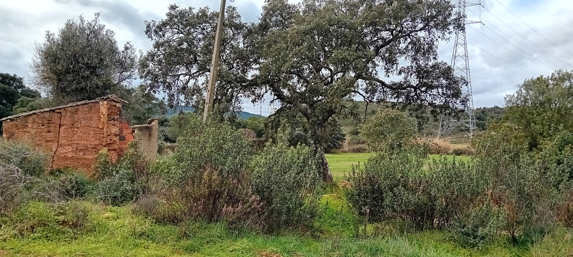 Terreno com Ruina a 7 Km de S.B. de Messines