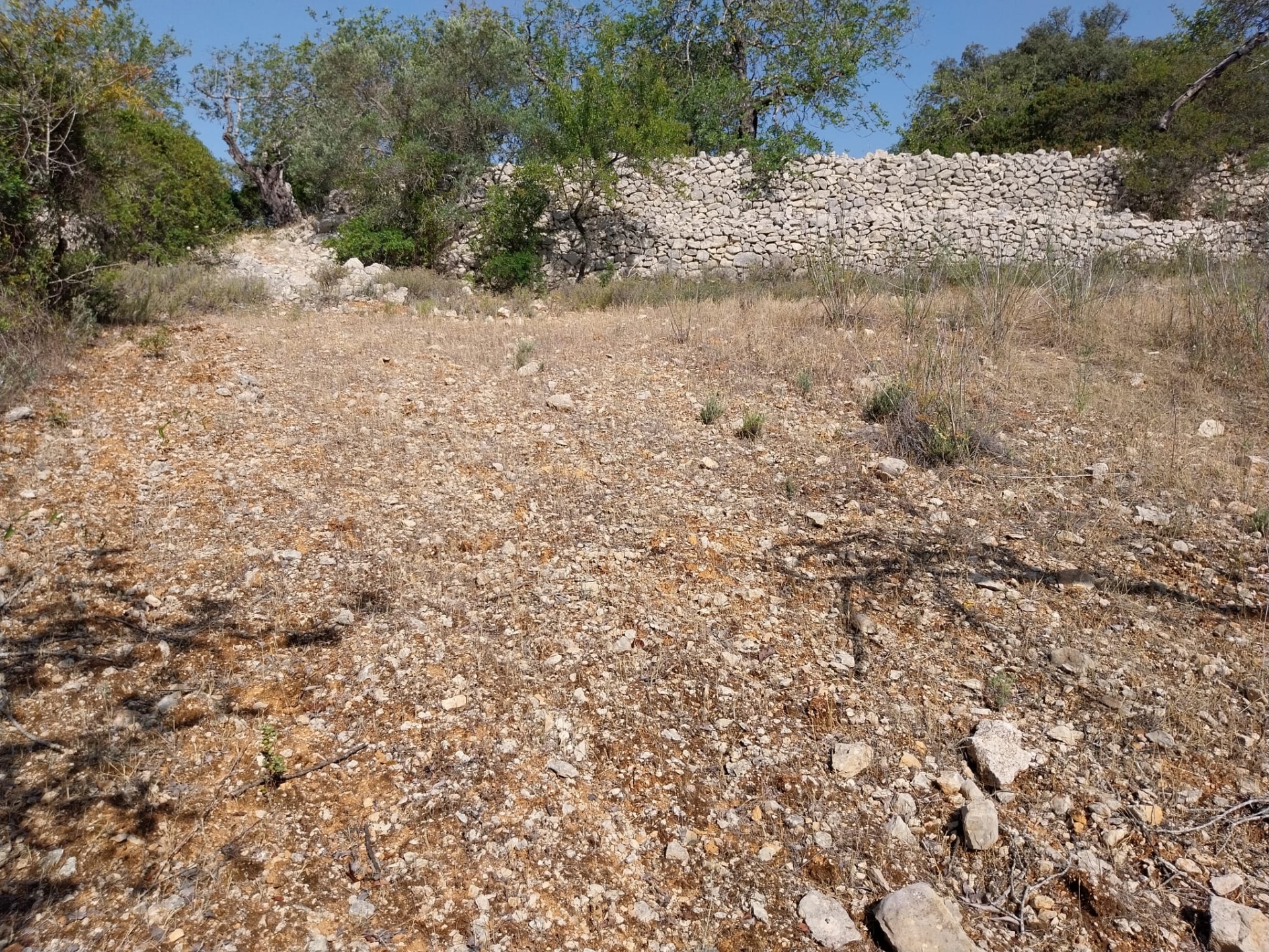 Lote de Terreno Rustico com 1.400m2