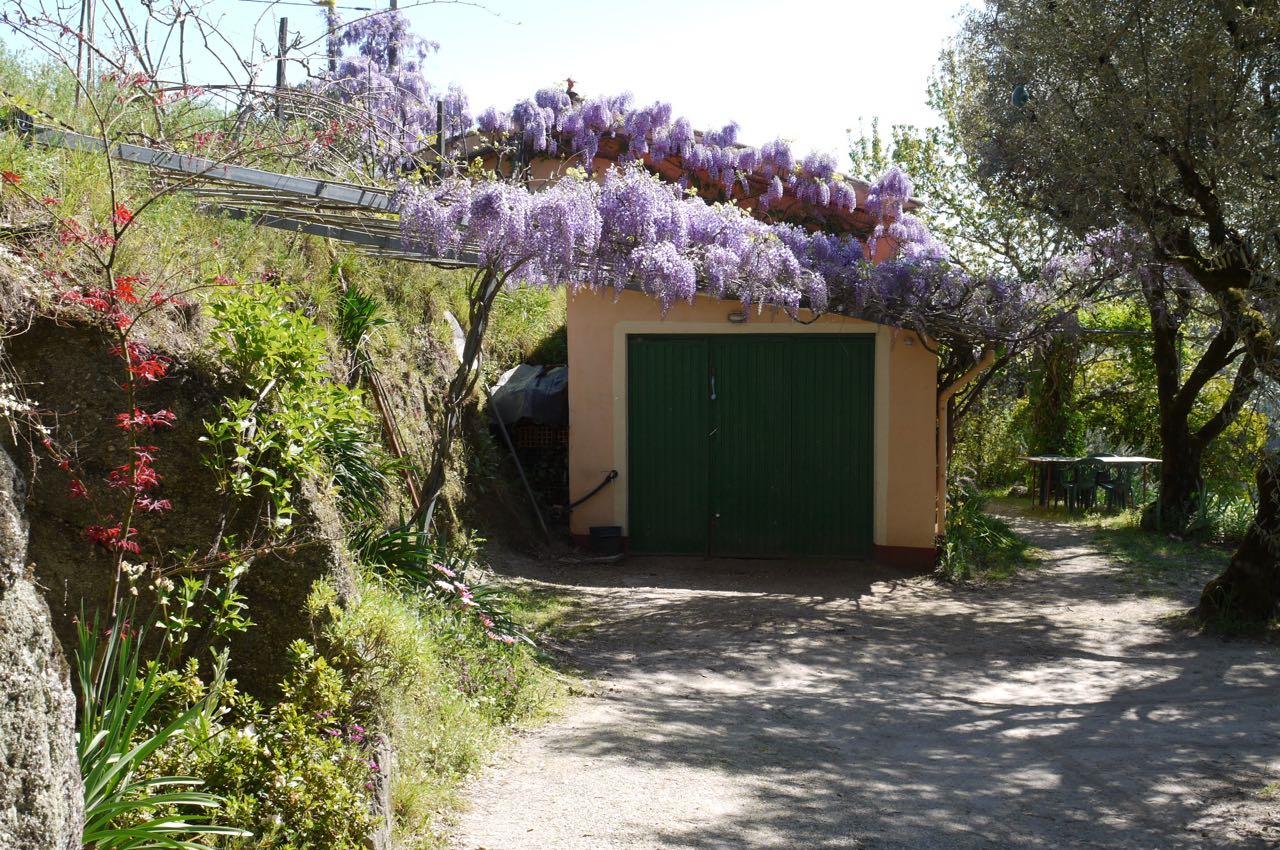 Detached farmhouse with land in Póvoa de Midões, Tábua